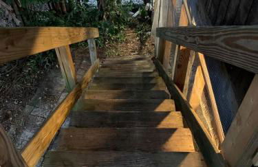 Modern Treehouse Rental with Pool for Glamping in Florida - Foto 2