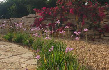 Stunning Villa with Pool & View near beach - Foto 29