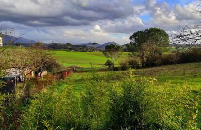 Il Ciliegio Holiday Apartment With Garden - Foto 39