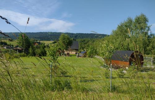 Domki Brzozówka w Bieszczadach - Foto 9