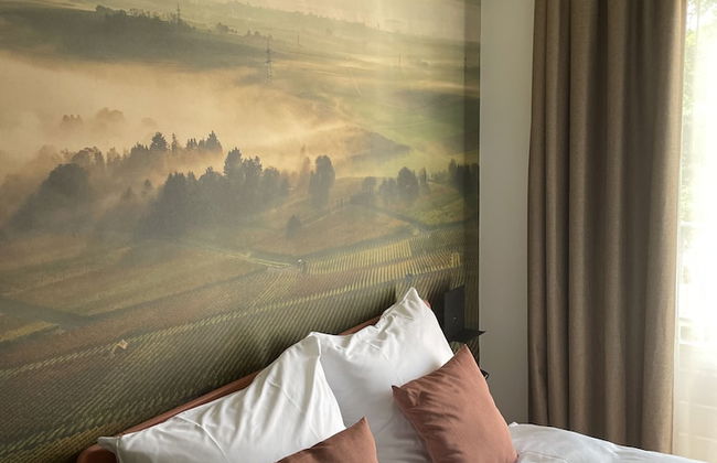 Dormio Wijnhotel Valkenburg - Photo 41