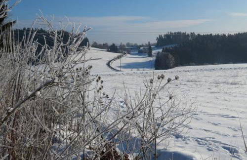 Ferienhaus Waldblick - Foto 46
