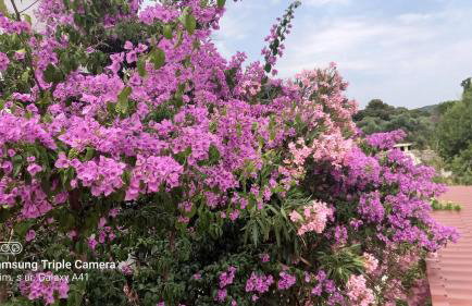 Eco Secluded apartments Zabodarski - Foto 75