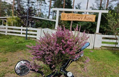 Sosnowy Azyl - Foto 68