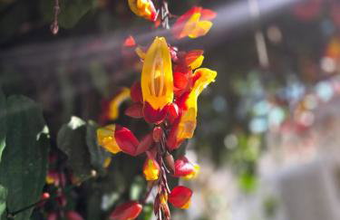 Villa Valentina - Foto 27