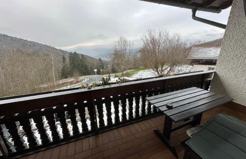 Uriges Apartment + Schönblick + mitten im Bayerischen Wald + WLAN kostenfrei - Foto 12