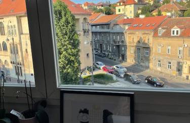 Spacious 3BR/2BT Apartment with A/C in City Center - Photo 12