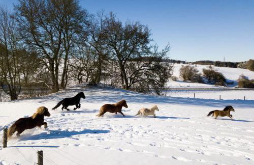 Ferienhof Homann Sauerland - Foto 46