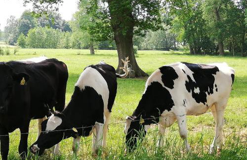 Alte Pastorei - Foto 32