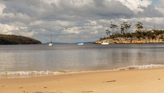 Sightseeing Bus Tour of Hobart + MONA - Foto 3