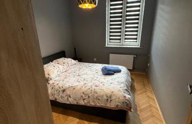 Apartament w Centrum Żor - Photo 3