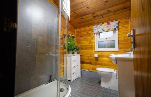 Rural Log Cabin in Snowdonia near Coed y Brenin by Seren Short Stays - Foto 5