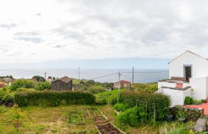 Lobo do Mar - Photo 6