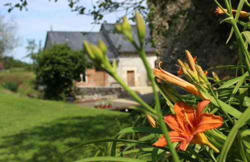 Gîte de charme proche du Mans pour 6 pers., commerces à pied, tout équipé - FR-1-410-258 - Photo 6