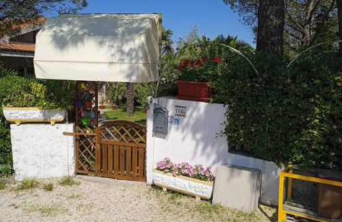 L'Isola che non c'è - Foto 39