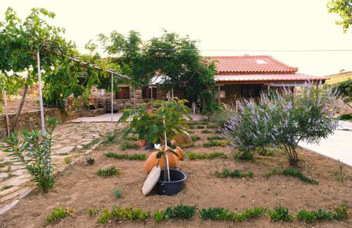 Our Mantra - Foto 11