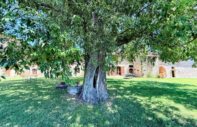 Spoleto Biofarm-sleeps 8 Guests-salt Water Pool-beautiful-exclusively Yours-wifi - Photo 66