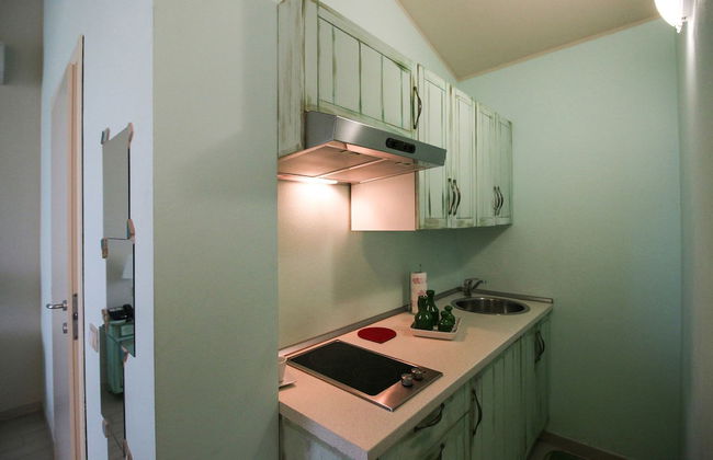 Lucciole nella nebbia - Foto 18