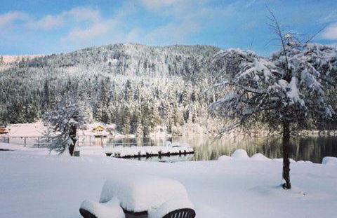 appartement chez Chantal RDC 60m2 GERARDMER - Photo 15