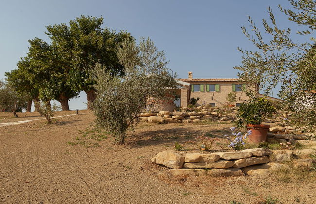 Frantoio L'Olinda - Foto 74