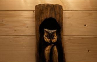 Groszkówka - Foto 13