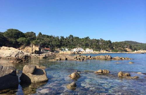 Wasela 104 - Foto 11