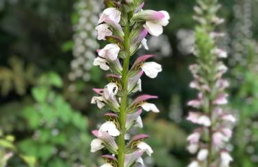 Piso céntrico con Parking a 20min de Barcelona - Foto 19