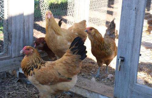 Bella Vista by Paradise Retreats - Foto 37