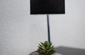 3 Bed Pet Friendly Home, With BBQ - Foto 11