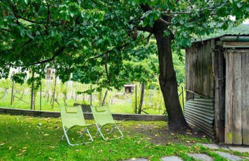 Anna nel verde - Foto 23