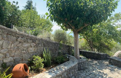 Terra Petra Villa at Psari Trikolonon Gortynia - Photo 53