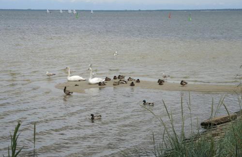 Apartament Babitonga I - Photo 43