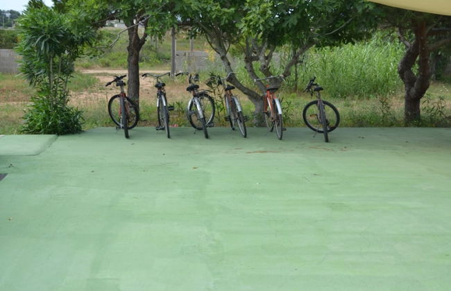 Samanà Bed - Foto 47