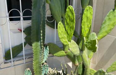 SUA CASA EM BONITO-PE - Photo 15