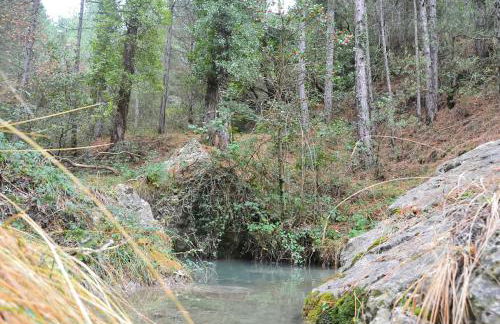 Casa LLovet - Foto 17