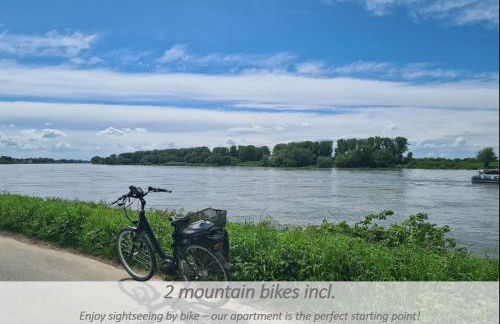 Souterrain-Apartment mit privater Sauna (inkl.) - Foto 30