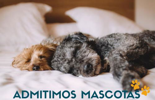 Bungalows Pescador 3000 - Foto 7