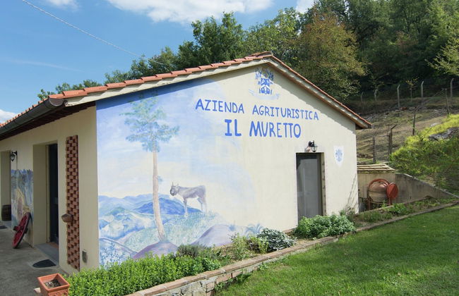 Spacious Holiday Home in Vicchio With Private Pool - Foto 72