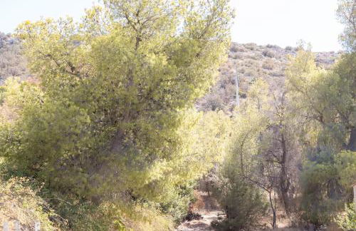 The Pines apartment - Foto 20