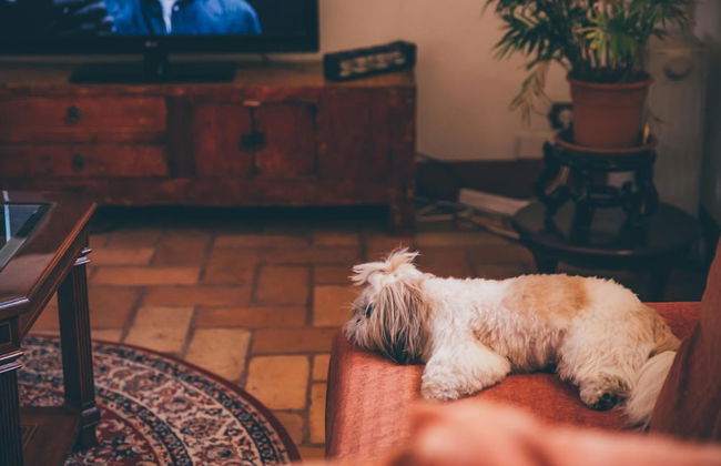 Molino la Nava - Foto 26