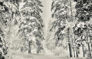 Chalet à Megève-Vauvray - Grands Appartements , vue Mont Blanc - Foto 51