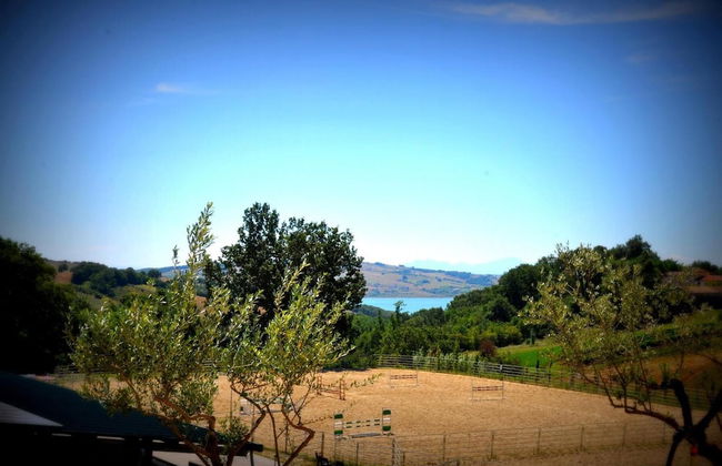 Agriturismo Yes Boss - Foto 30