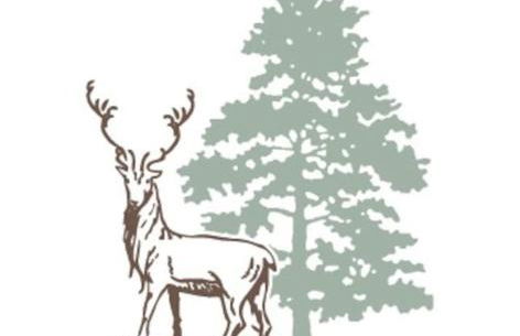 Garnett - Comfy apartment, great location! - Foto 7