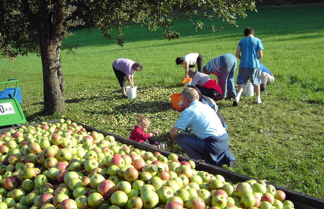 Apartment in Neuhaus Near Petzen Ski Area - Photo 15