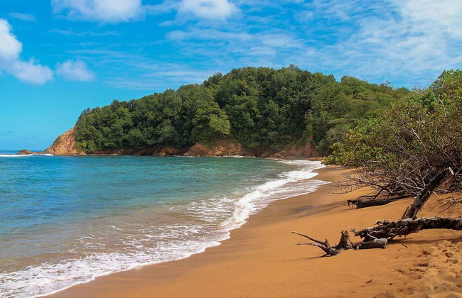 Les studios de la baie - Photo 22