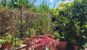 La Finestra sul Velino, uno splendore da vivere - Foto 3