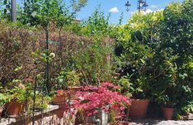 La Finestra sul Velino, uno splendore da vivere - Foto 3