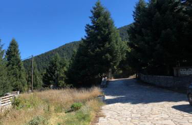 Villazia The Highest - Foto 73