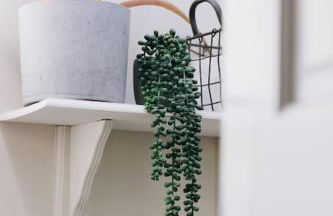 'The Studio' Designer, seaside cottage - Foto 50