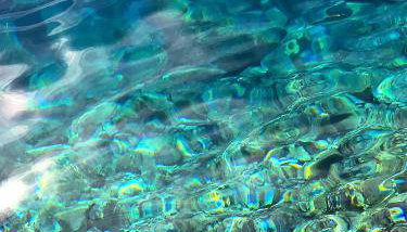 Mare`s Private House 1st floor with Pool - Foto 5